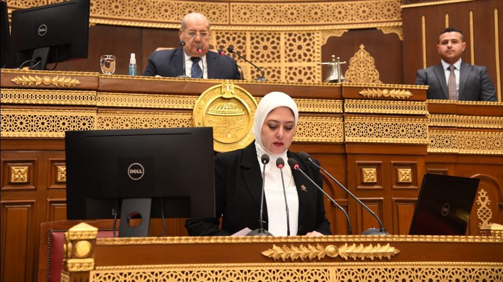 النائبة نهى زكى أمام مجلس الشيوخ