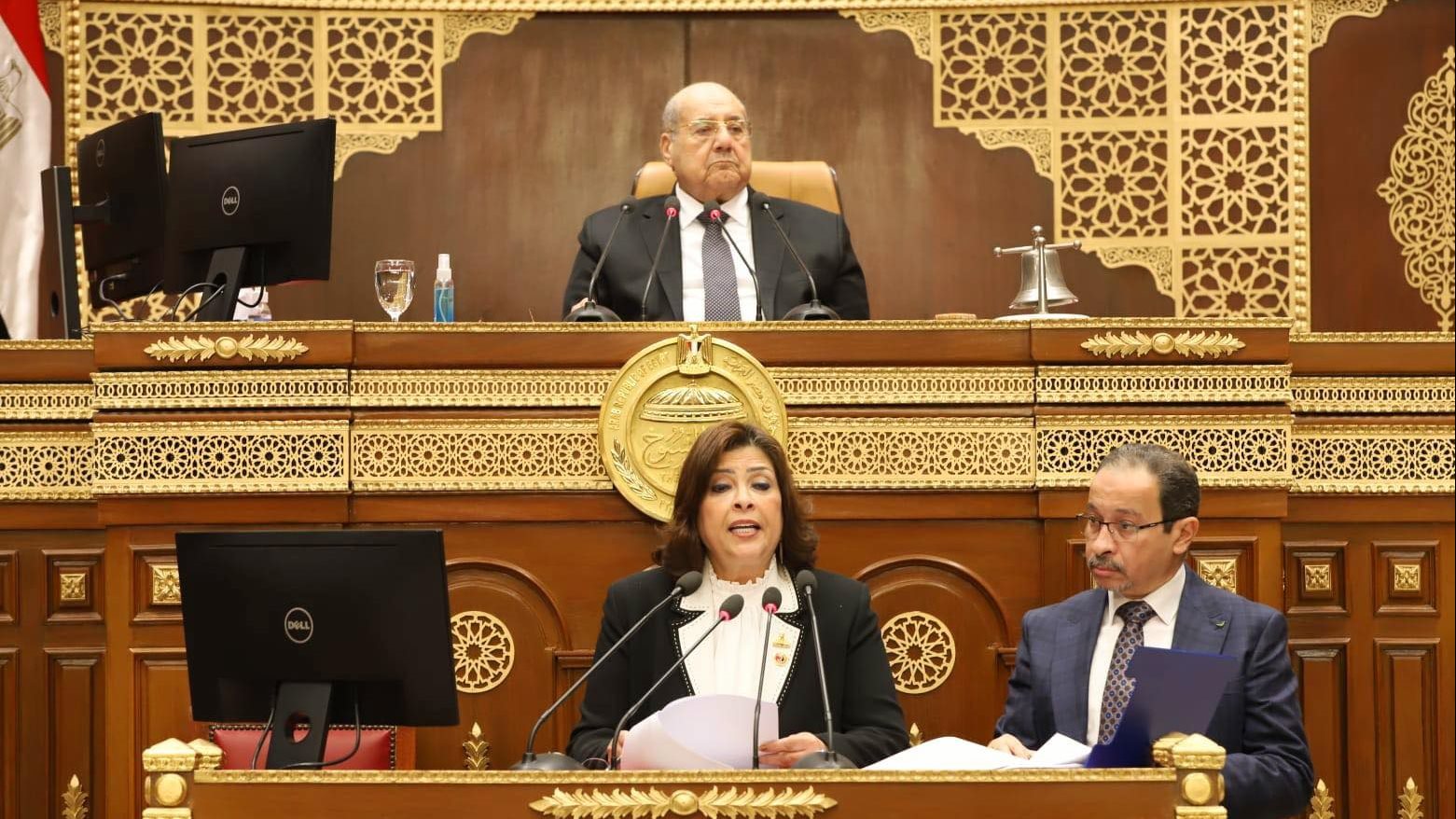  راندا مصطفى، وكيل لجنة التعليم بمجلس الشيوخ