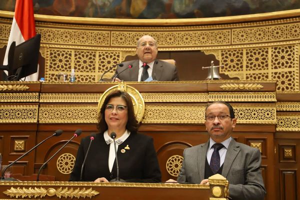 مجلس الشيوخ