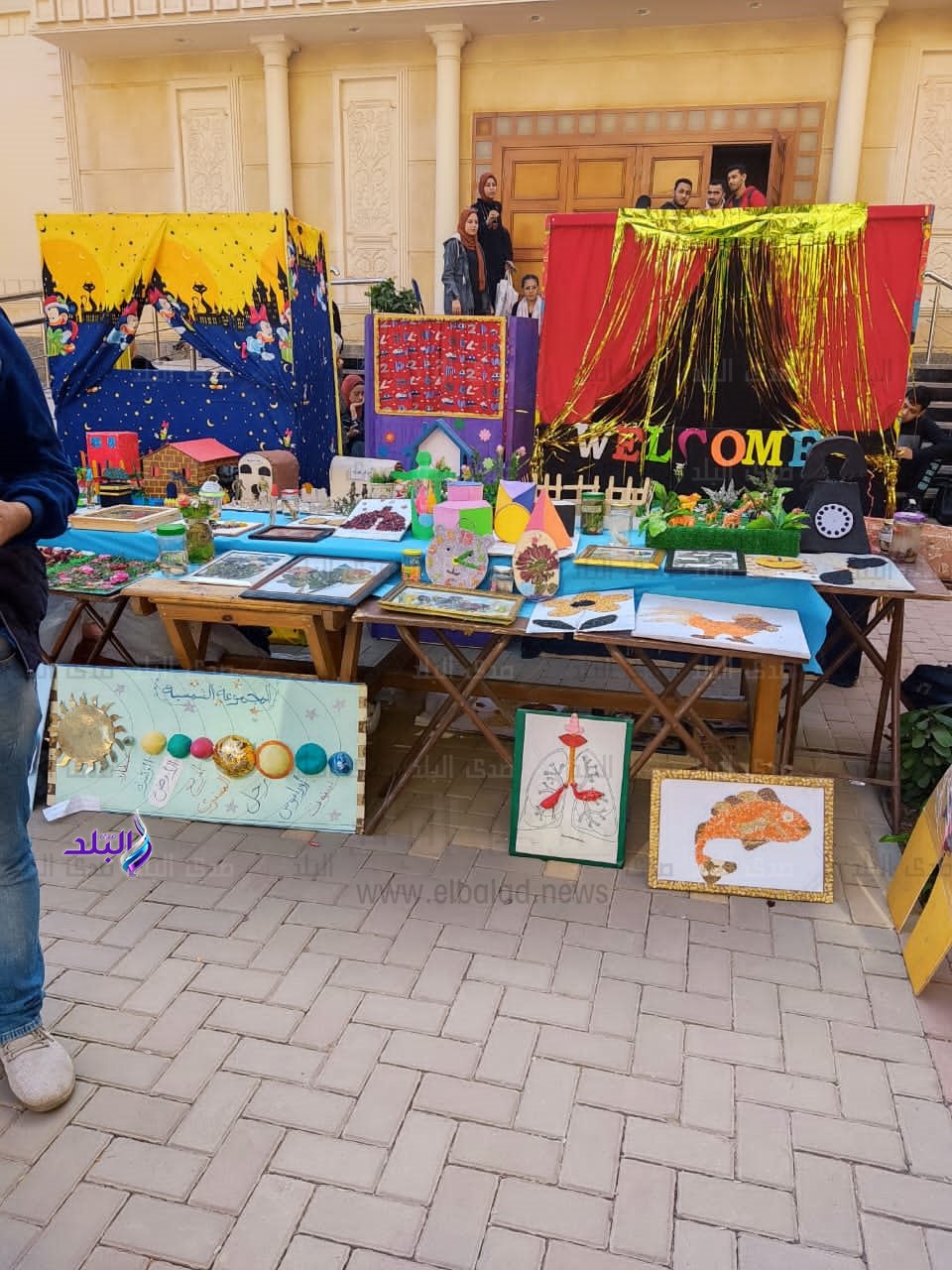 كلية تربية نوعية بجامعة عين شمس4