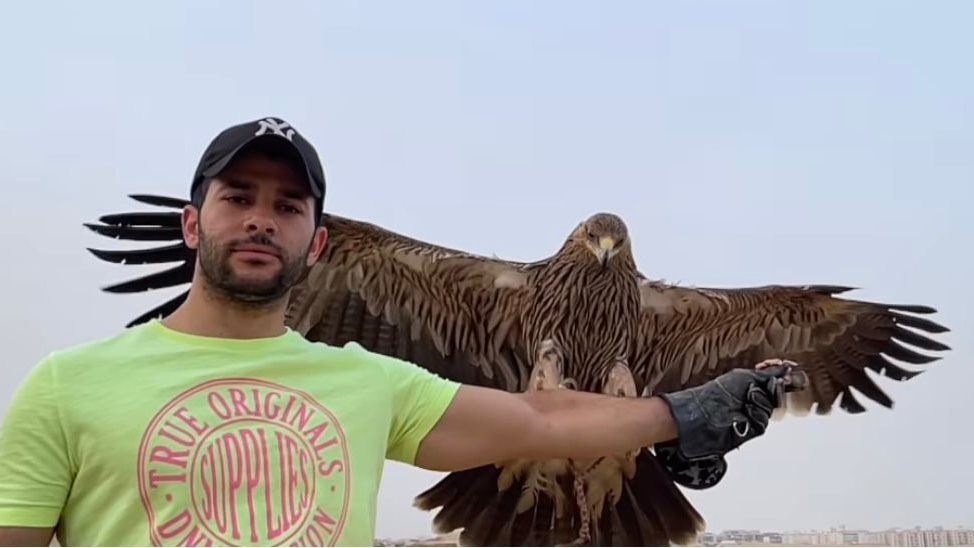 رامز أمير