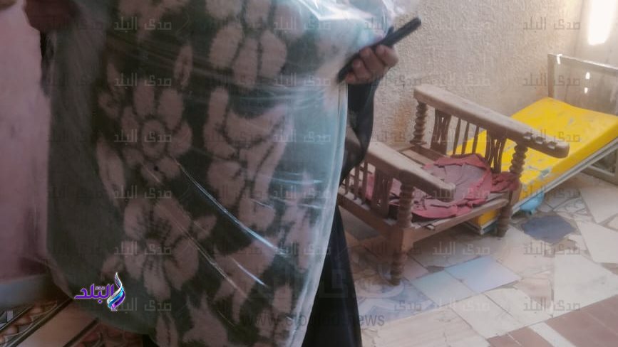 حملة دفا 
