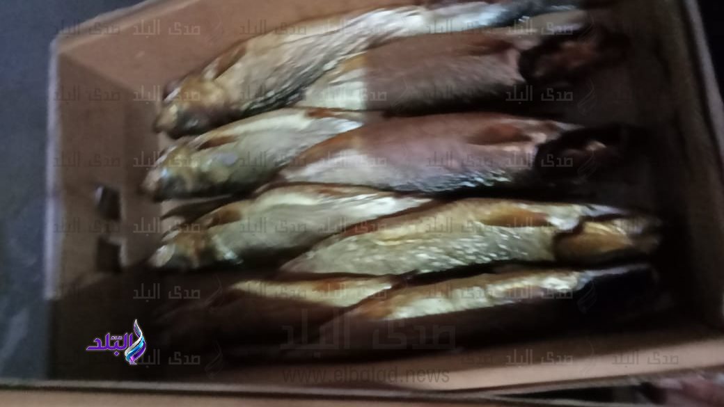 أسماك غير صالحة 