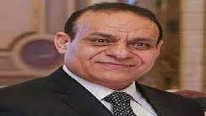 الدكتور محمد الشوادفي، الخبير الاقتصادي