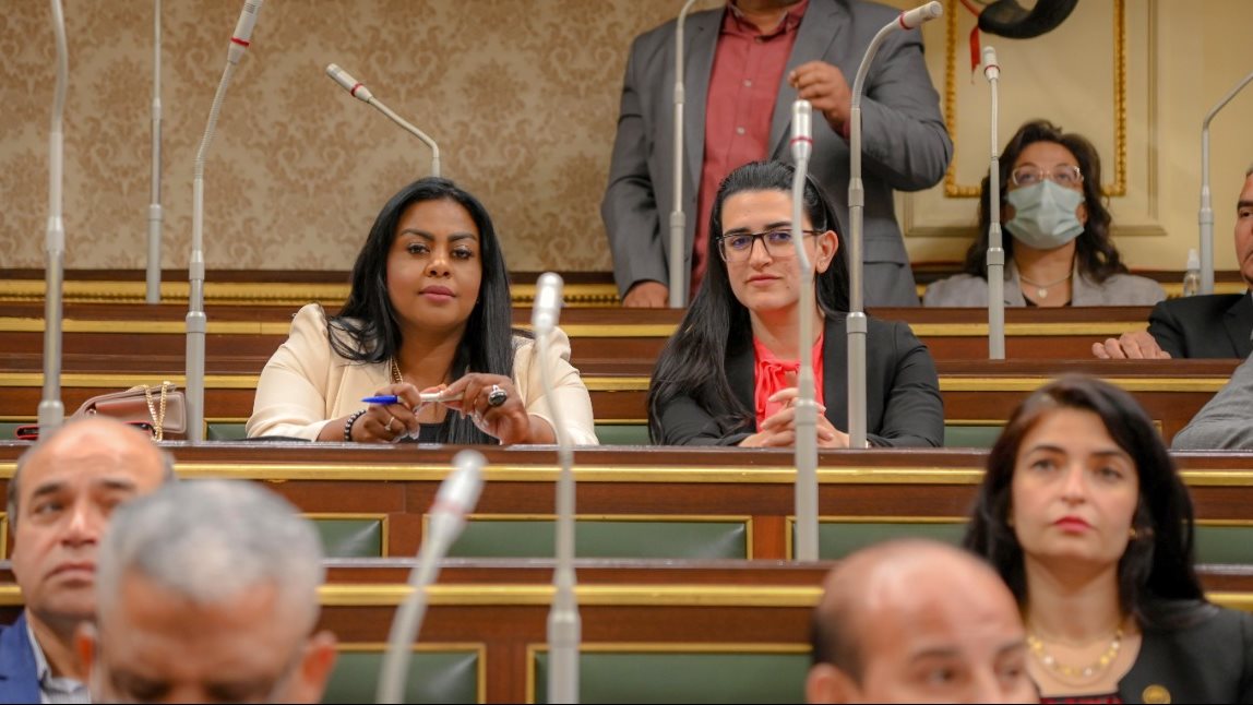  النائبة الدكتورة نيفين حمدي، عضو لجنة الشؤون الأفريقية