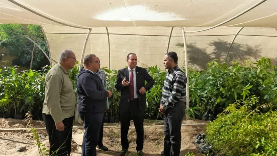 الزراعة