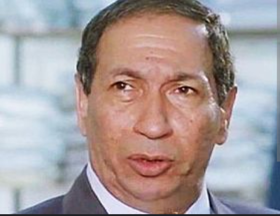 محيي الدين عبد المحسن