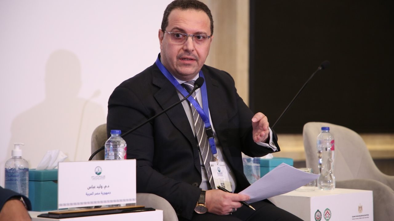 الدكتور وليد عباس معاون وزير الإسكان