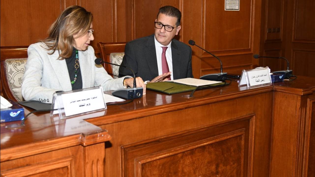 إجتماع لجنة حقوق الإنسان بالبرلمان بحضور وزيرة الثقافة
