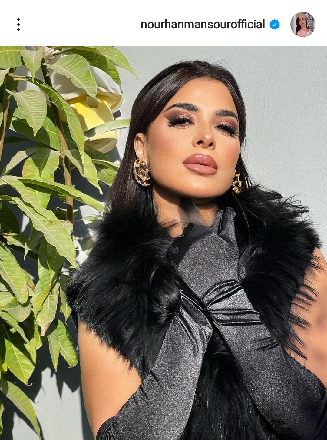 IMG_٢٠٢٢١٢١٩_٢٠٠٨١٣