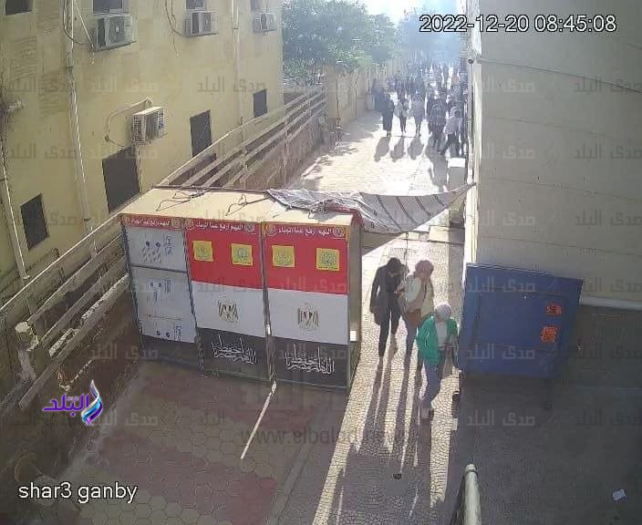 كلية الآداب جامعة المنصورة