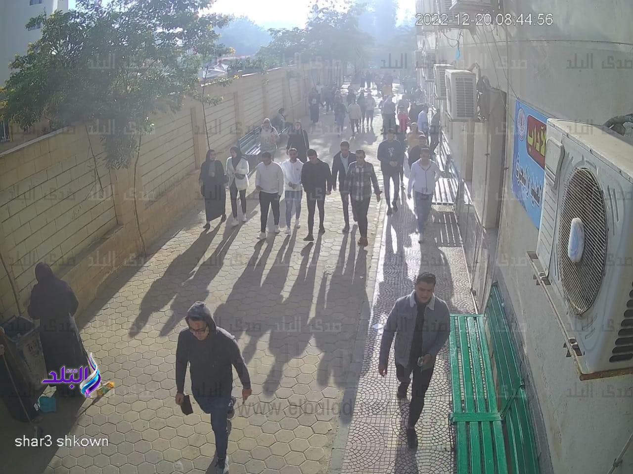 كلية الآداب جامعة المنصورة