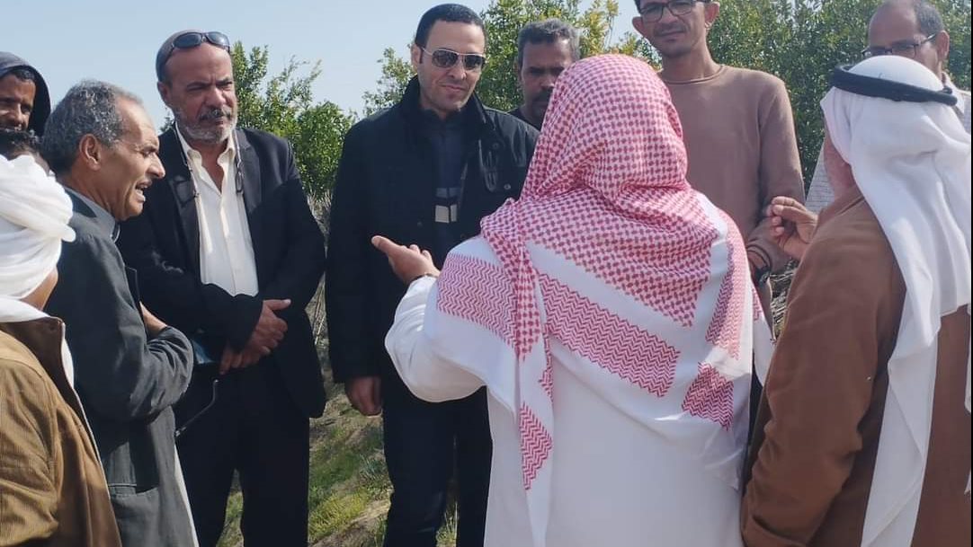 يوم حقلي إرشادى للمزارع بالشيخ زويد 