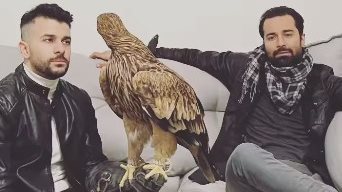  أحمد حاتم ورامز امير 