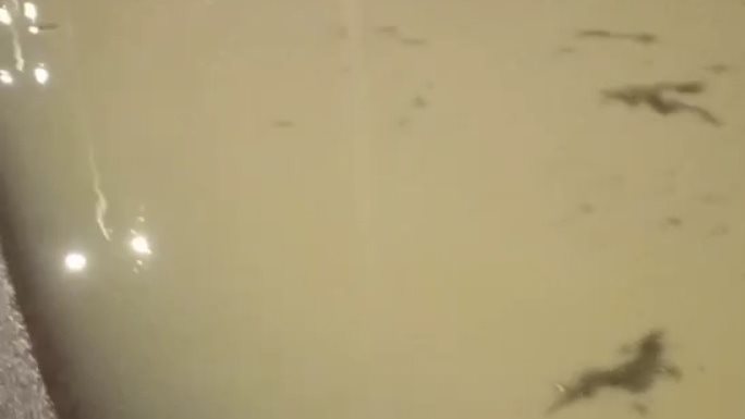 امطار مطروح 