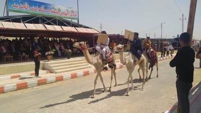 سباق تنشيطي للهجن بمنطقة الجفجافة 