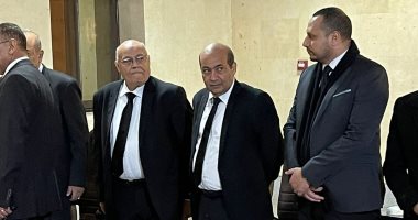 طارق الشناوي