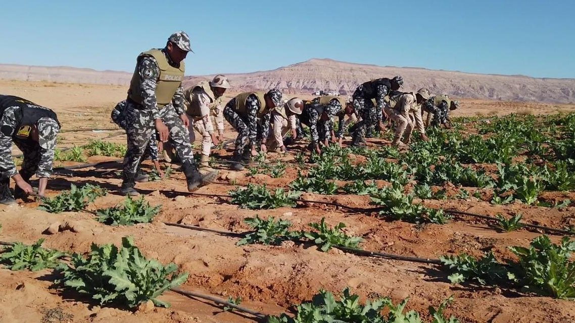 قوات حرس الحدود