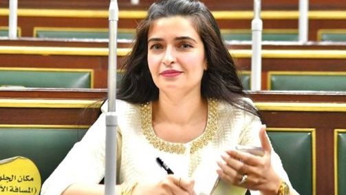 إيرين سعيد  - عضو لجنة الصحة بمجلس النواب
