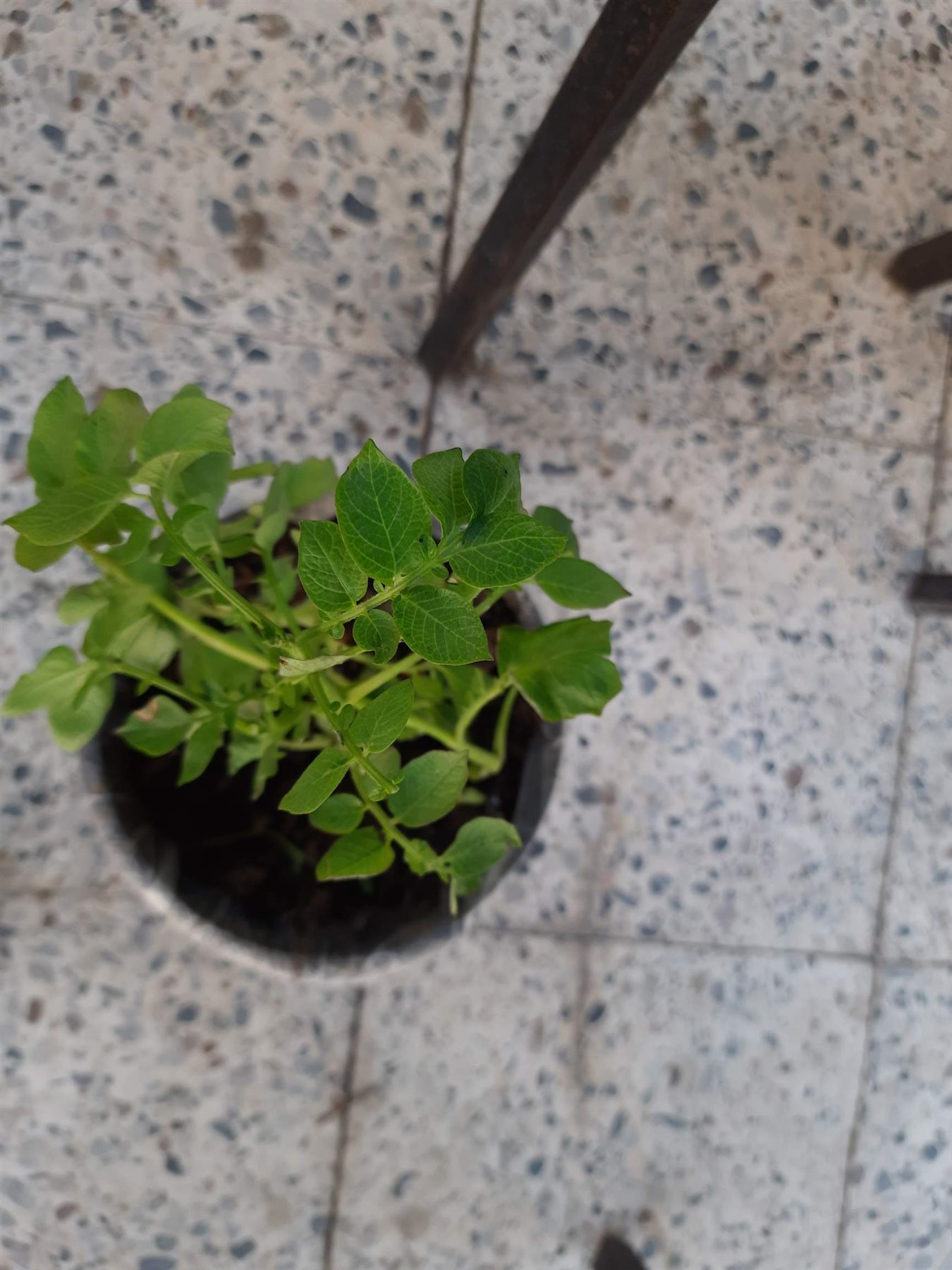 0_٢٠٢٢١٢٢٩_١٥٤٠١٨