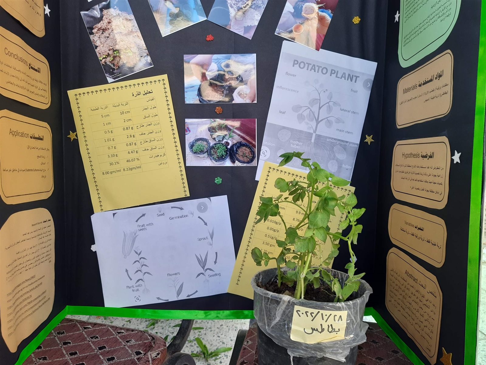 0_٢٠٢٢١٢٢٩_١٥٤٠٣٦