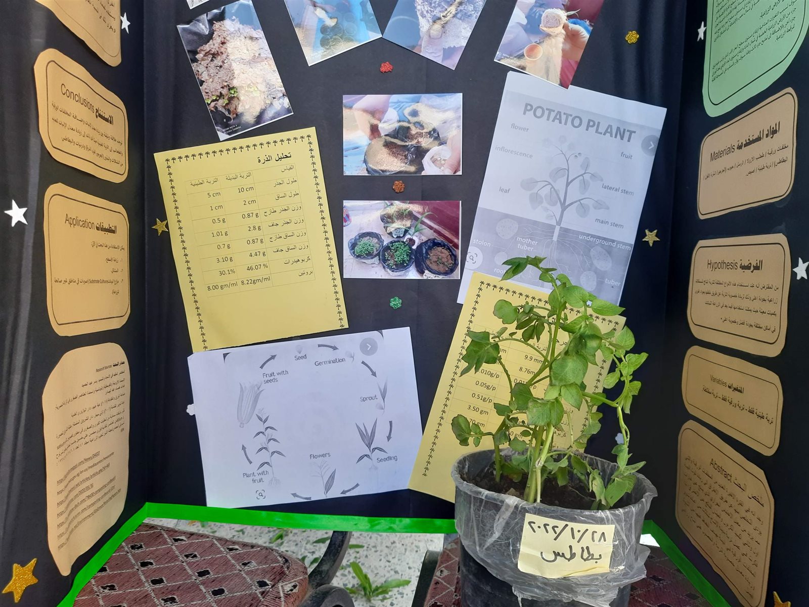 0_٢٠٢٢١٢٢٩_١٥٤٠٣٧