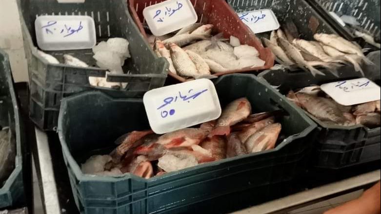 صورة من الحملات