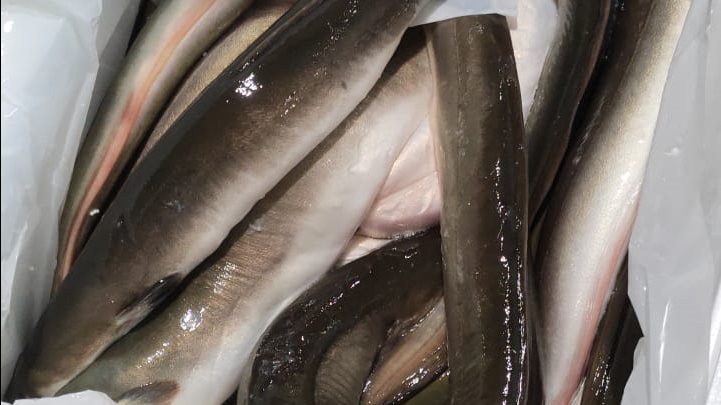 صورة من الضبطية 