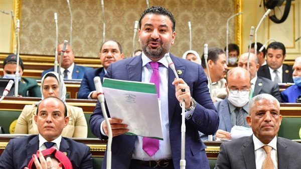 محمد سلطان، عضو لجنة حقوق الإنسان بمجلس النواب