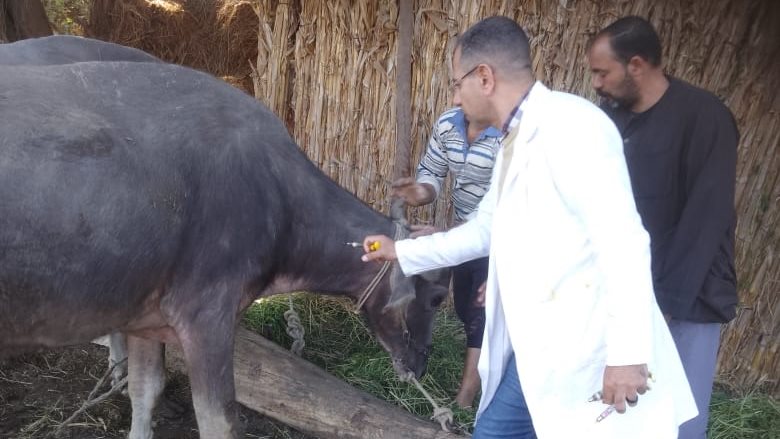 الطب البيطري بالغربية