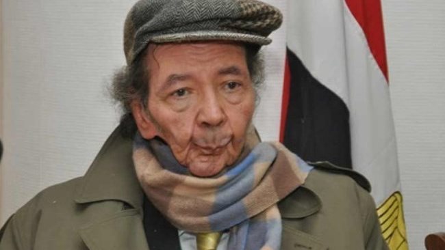 محمد عناني