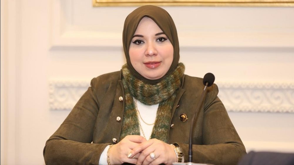 النائبة دينا هلالي عضو مجلس الشيوخ النائبة دينا هلالي عضو مجلس الشيوخ