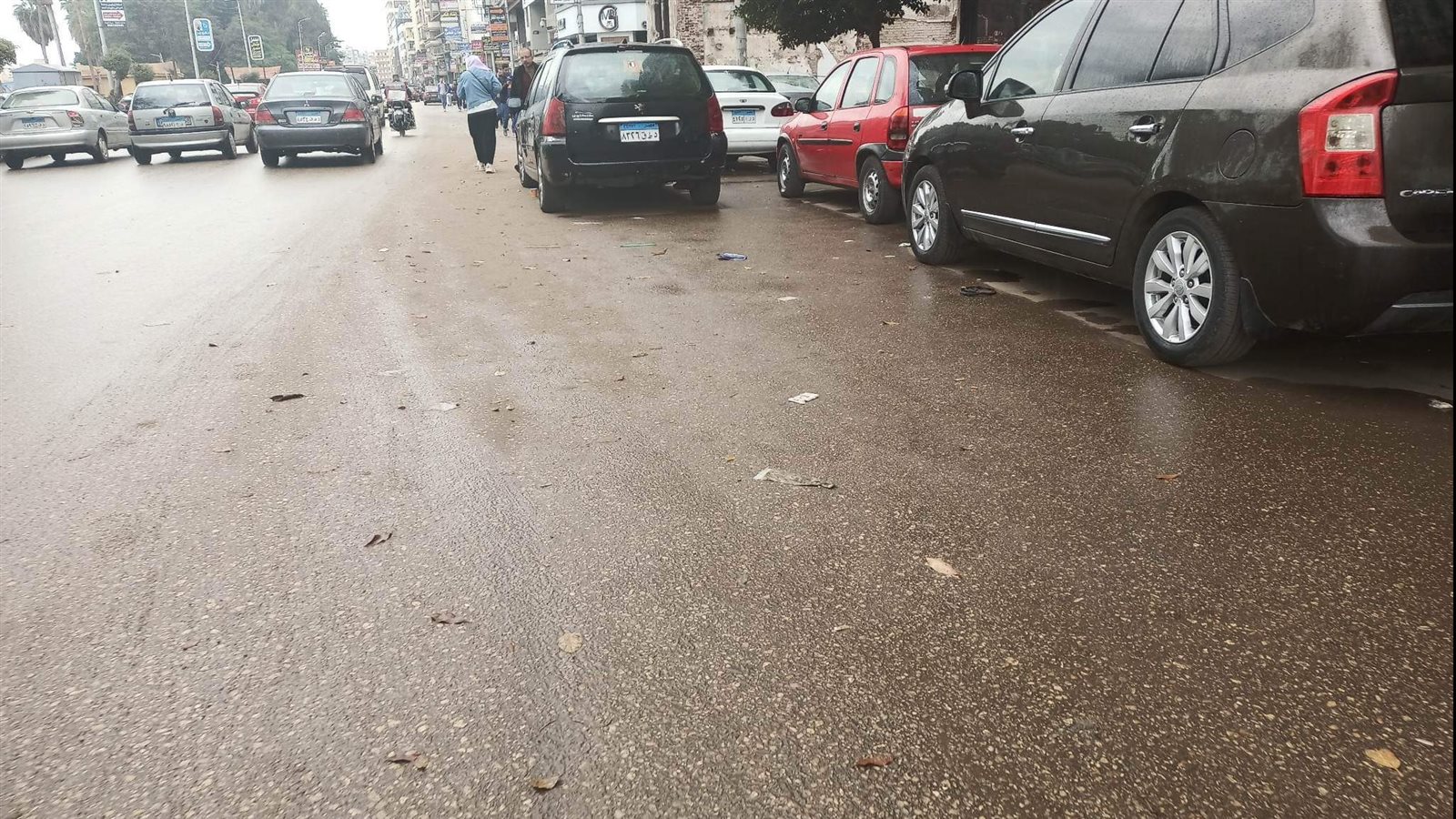 امطار بالدقهلية