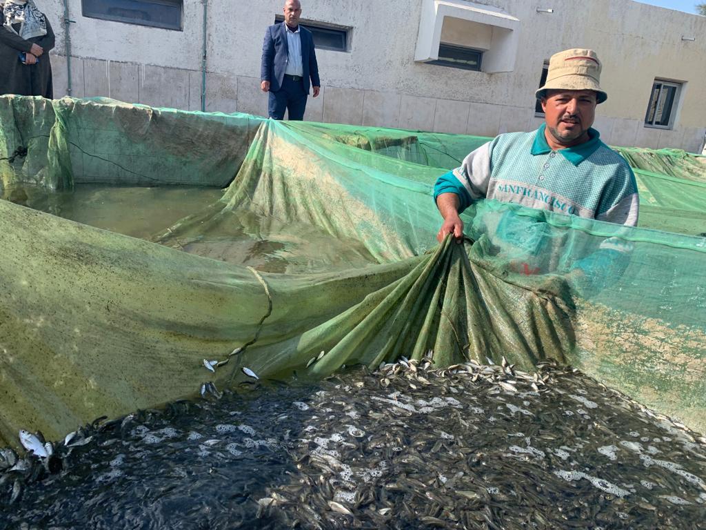 الأسماك