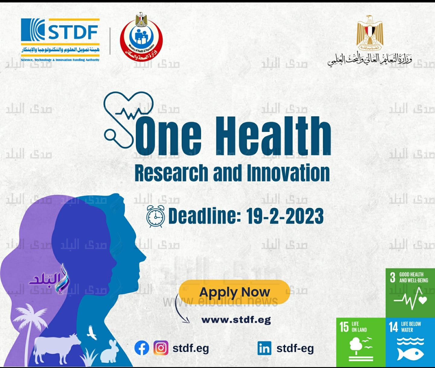 هيئة تمويل العلوم والتكنولوجيا والابتكار