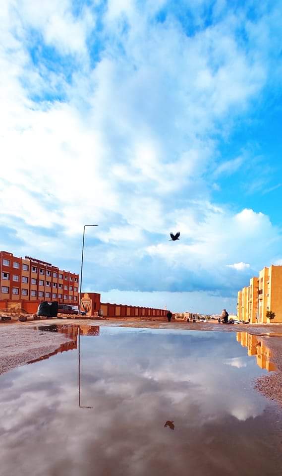 امطار  طور سيناء
