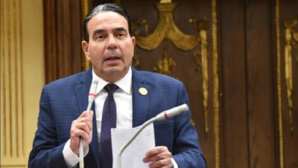 الدكتور أيمن أبو العلا عضو مجلس النواب  الدكتور أيمن أبو العلا عضو مجلس النواب