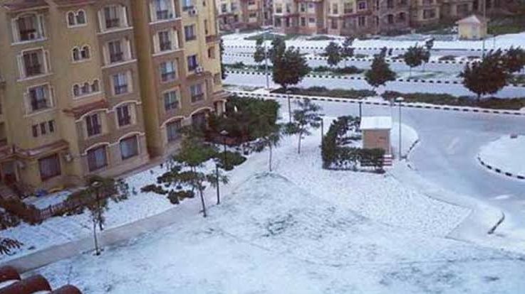 أرشيفية 