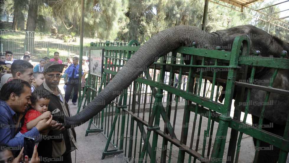 حديقة الحيوان
