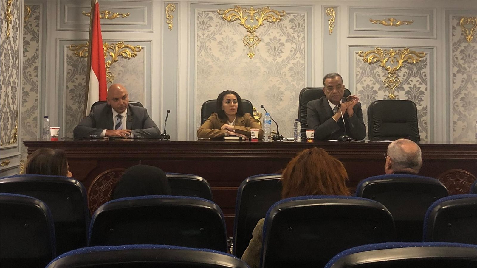 إجتماع لجنة الثقافة والأثار والسياحة والإعلام بمجلس الشيوخ