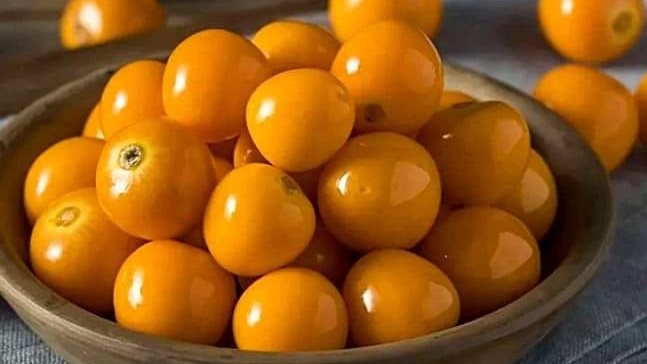 الحرنكش