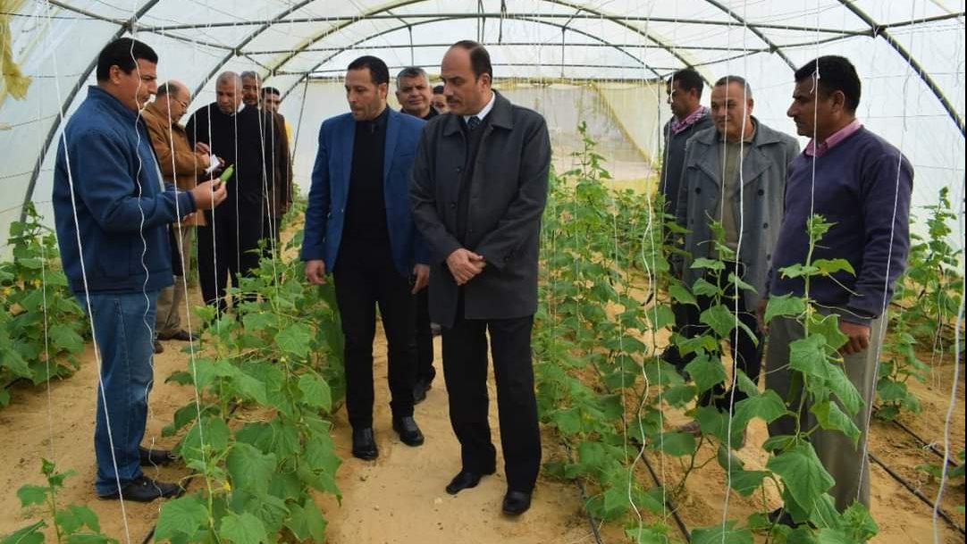 المزرعة النموذجية بجامعة العريش 