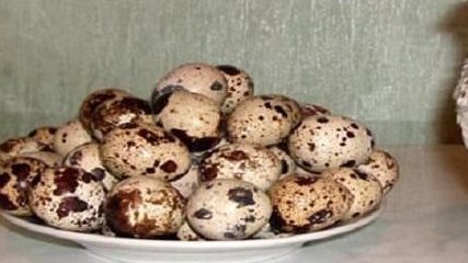 بيض السمان