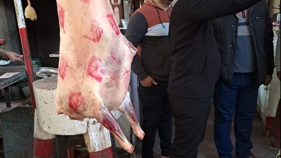 صوره من الحملات