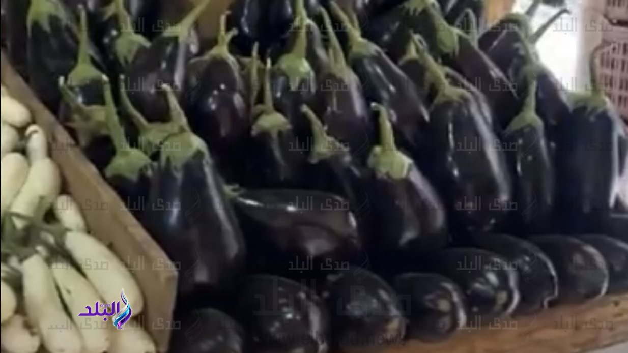 أسعار الخضار 