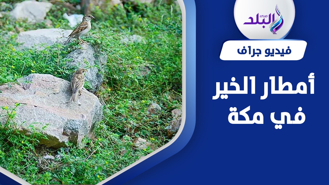 أمطار مكة المكرمة