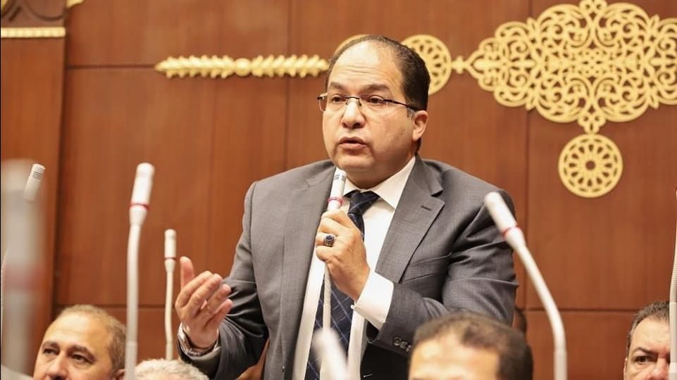 النائب عادل اللمعى ، عضو مجلس الشيوخ