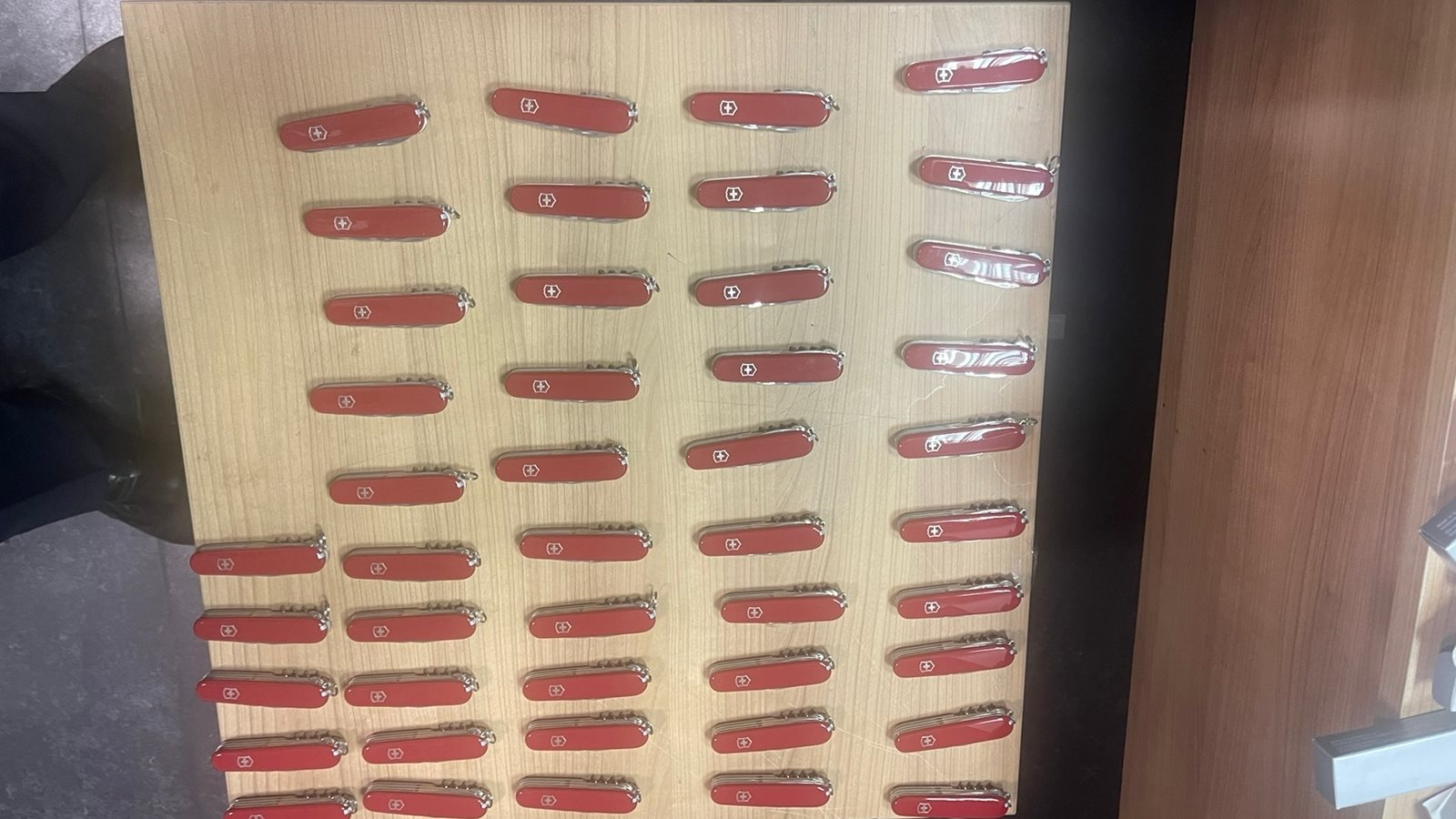 صورة من الضبطية