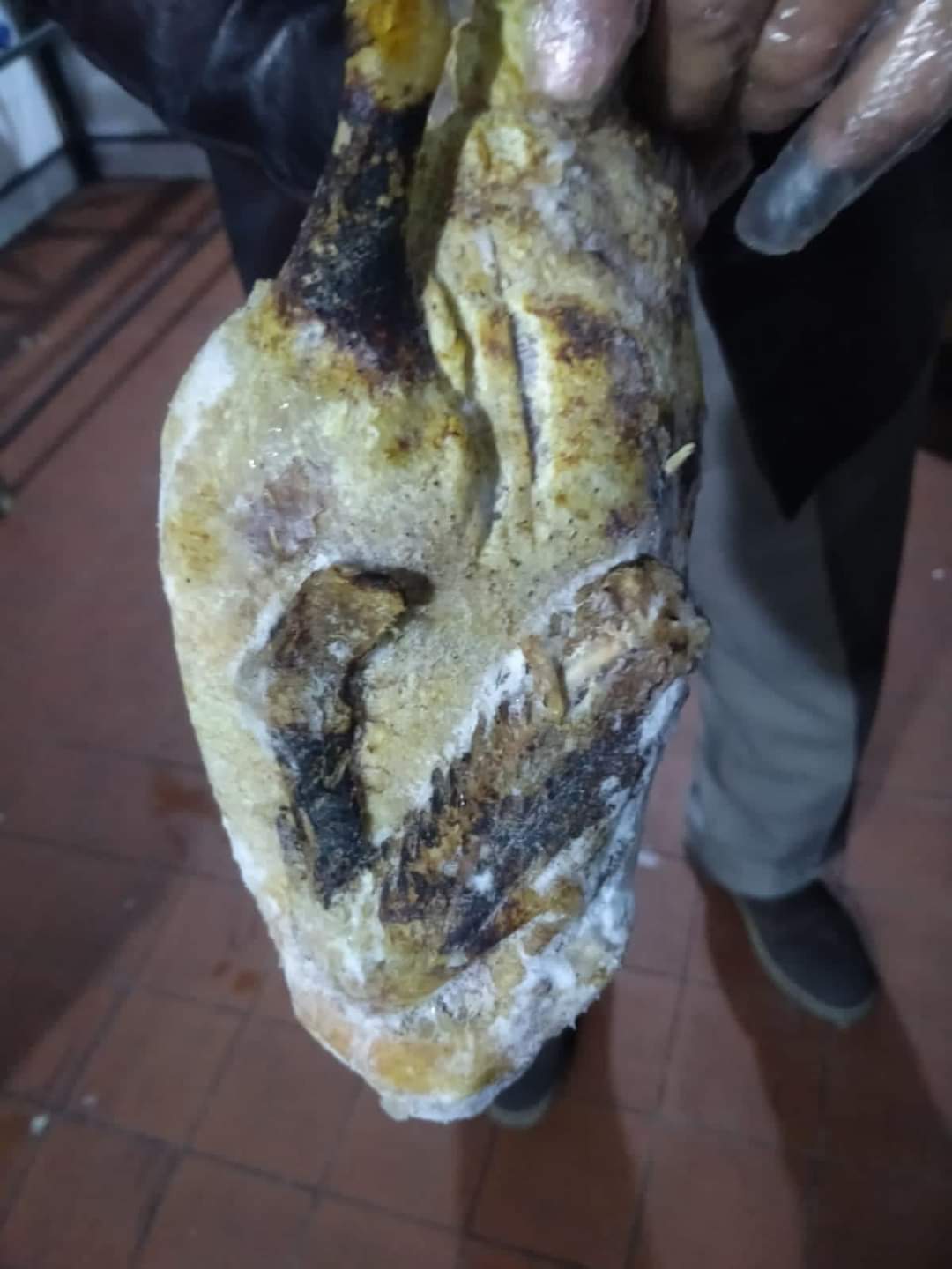 FB_IMG_1673738512889