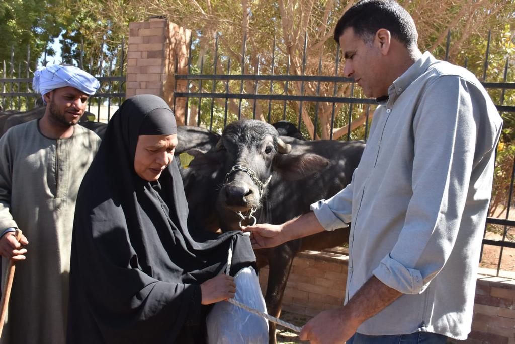 مشروع سيل